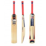 GM Purist Striker Kashmir Willow Cricket Bat